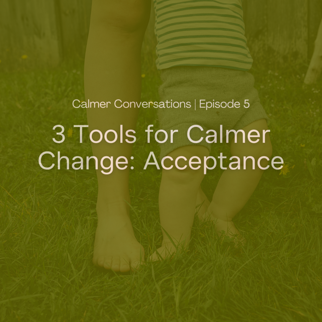 img-66b2403b0d591c45d7aceb32